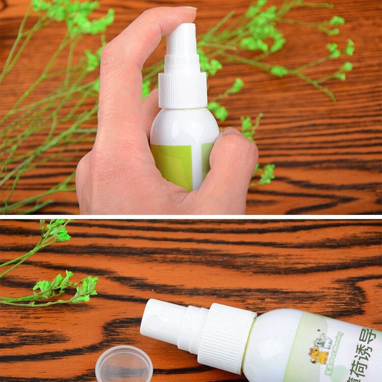 Cat Catnip Spray | Natural Catnip Inducer for Cats