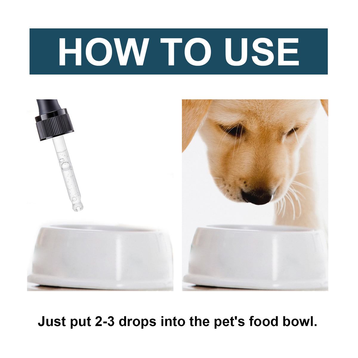 Pet Immune Support Oral Drops for Dogs & Cats | Skin, Gut & Coat Health