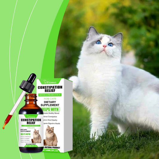 Is Your Cat Constipated? Here's the Natural Fix Cat Owners Are Raving About