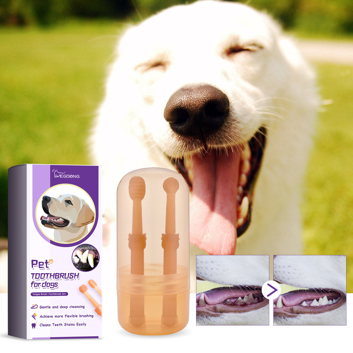 Dog Toothbrush & Tongue Cleaner Set | Silicone Dental Care for Dogs