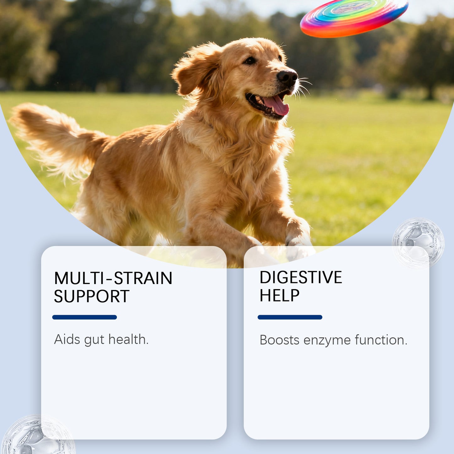 Dog Probiotic Soft Granules | Digestive Health Supplement for Dogs