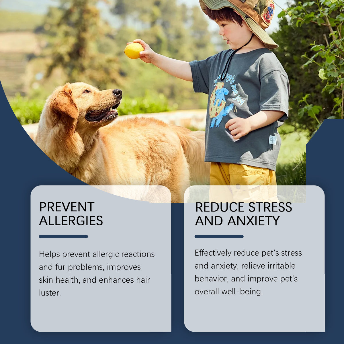 Immuno+ Daily Immune Boost Chews for Dogs | Healthy Dietary Supplement