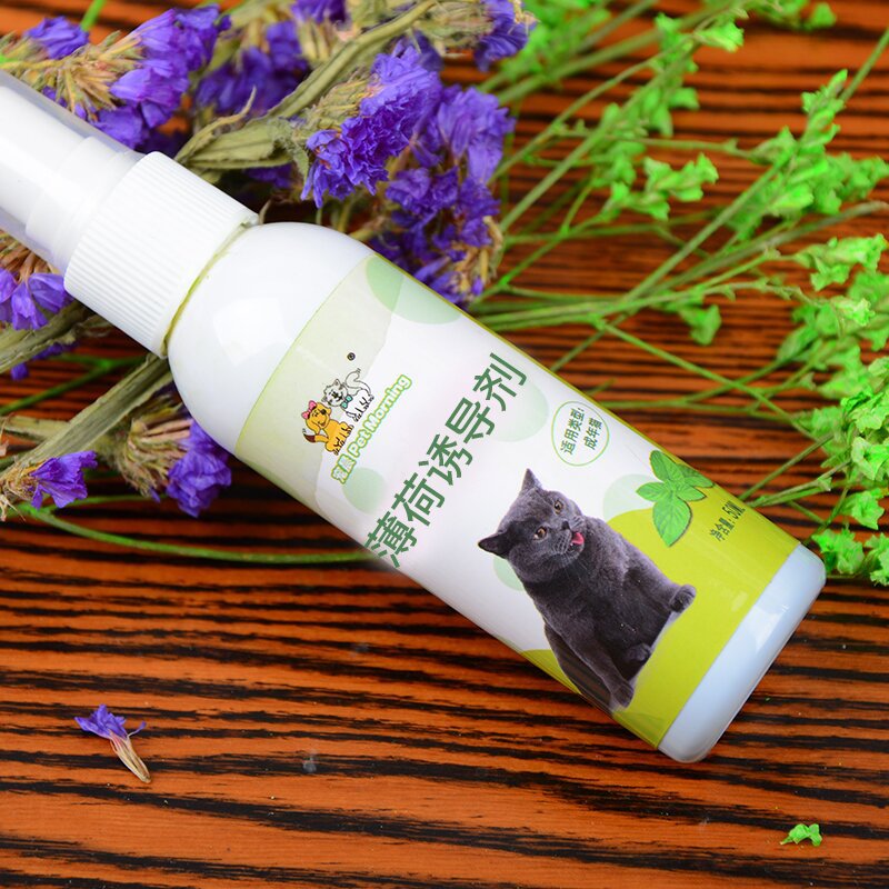 Cat Catnip Spray | Natural Catnip Inducer for Cats