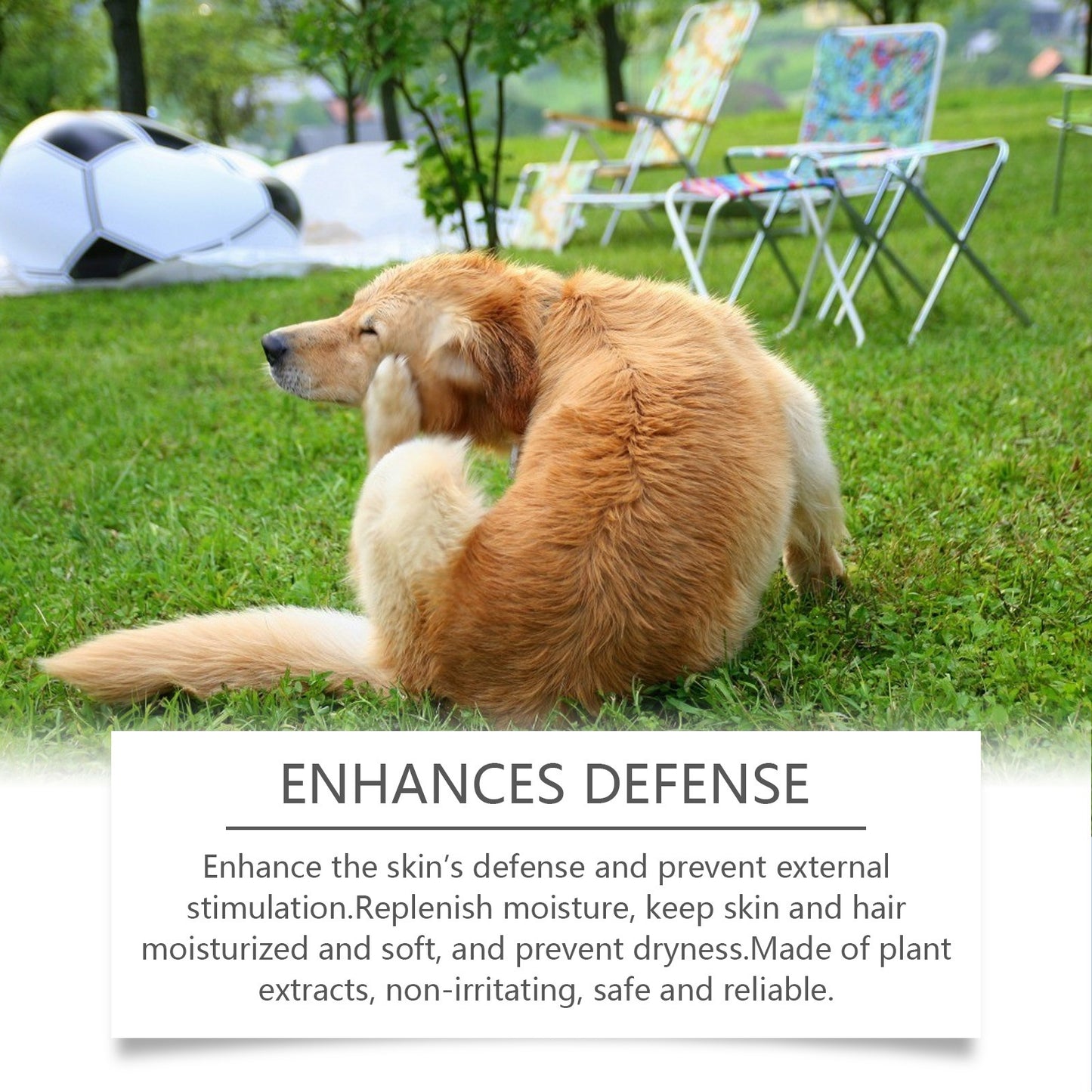 Dog Shampoo | Gentle Cleansing & Nourishing Formula for Soft, Shiny Fur