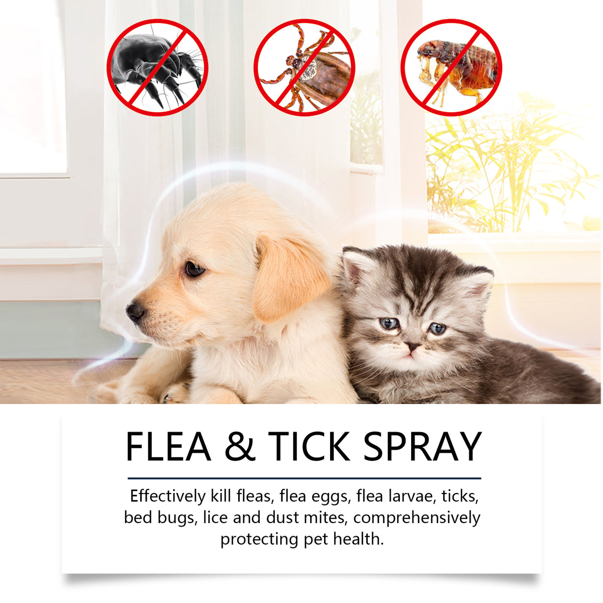 Pet Insect Repellent Spray for Dogs & Cats | Kills Fleas, Mites & Lice