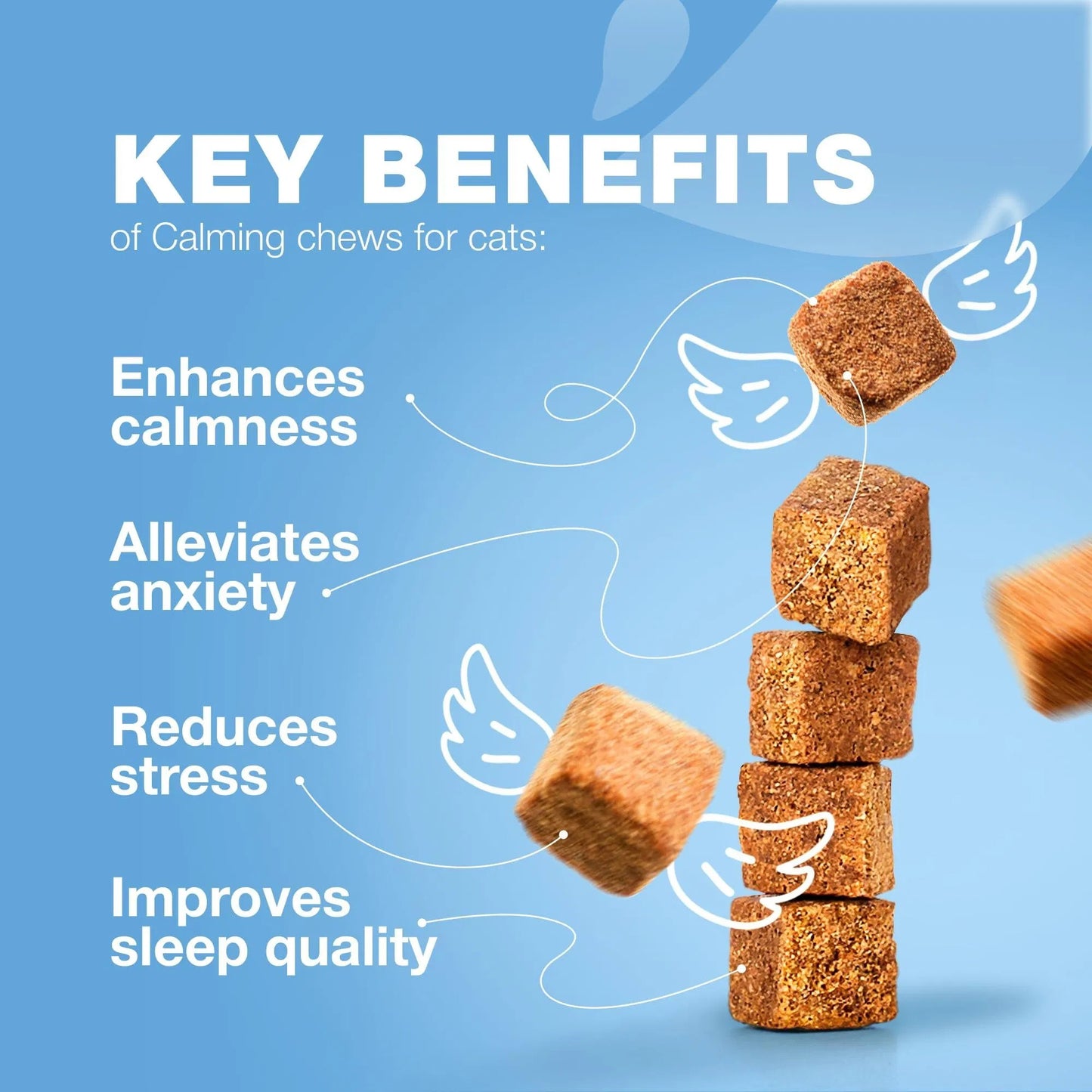 Premium Pet Treats Bundle