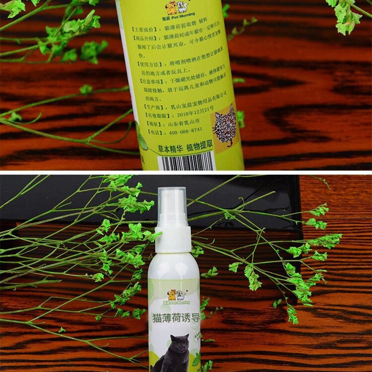 Cat Catnip Spray | Natural Catnip Inducer for Cats