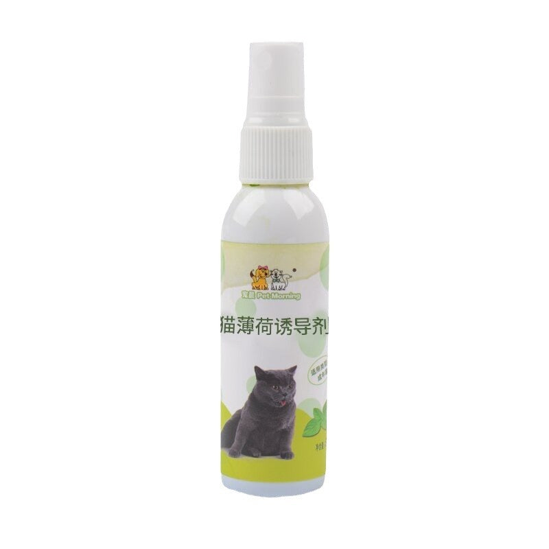 Cat Catnip Spray | Natural Catnip Inducer for Cats