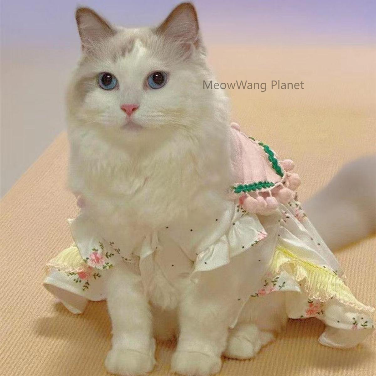 Dog Cat Clothes Pet Apparel Handcrafted Double Layer Princess Dress For Small Dogs Cats All Season Luxury Pet Apparel Custom Made Elegance Comfort Luxury Pet Gift For Cats Dogs