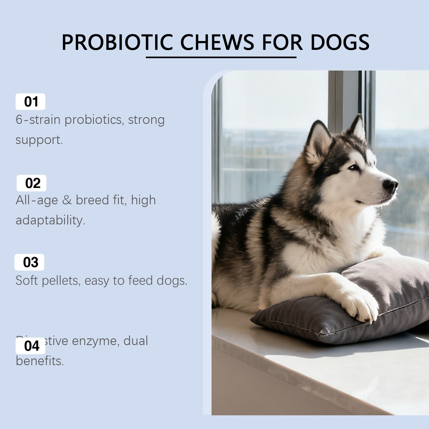 Dog Probiotic Soft Granules | Digestive Health Supplement for Dogs