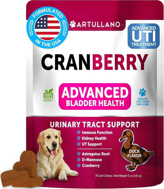 Do Not Sell On Amazon Dog UTI Treatment Cranberry Supplement Bladder Control Urinary Tract Infection Incontinence Pill Bladder Stones UTI Medicine Treats 70 Soft Chews For Kidney Support With Fish Oil - Immense Plus More