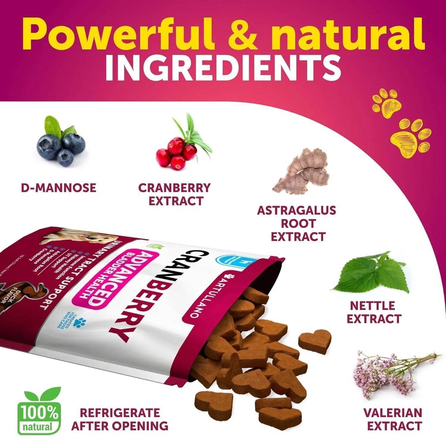 Do Not Sell On Amazon Dog UTI Treatment Cranberry Supplement Bladder Control Urinary Tract Infection Incontinence Pill Bladder Stones UTI Medicine Treats 70 Soft Chews For Kidney Support With Fish Oil - Immense Plus More